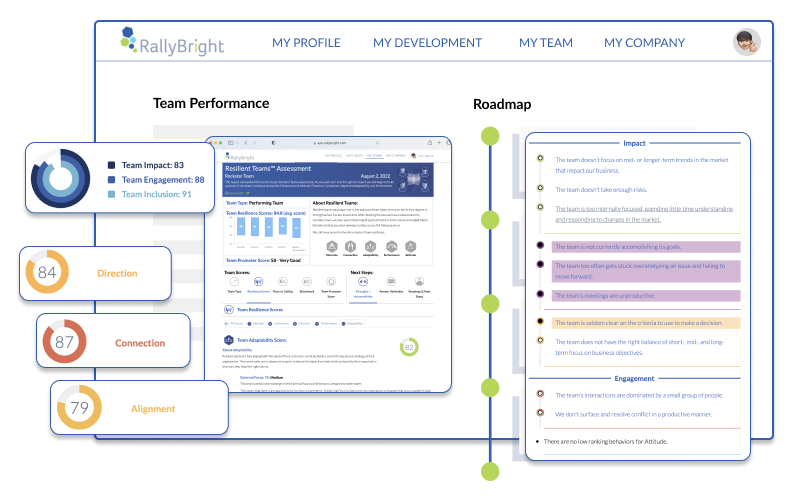 calibrated team performance view